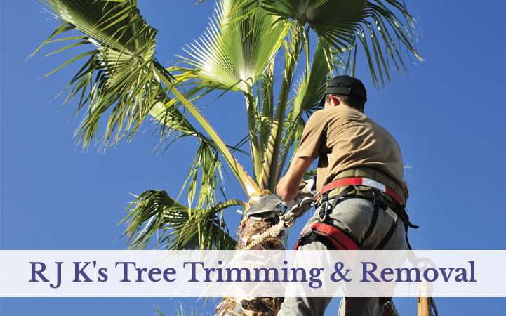 RJK TREE TRIMMING & REMOVAL