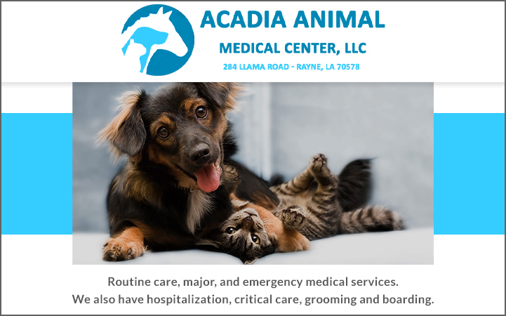 ACADIA ANIMAL MEDICAL CENTER, LLC
