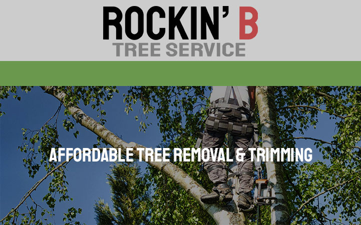 ROCKIN B TREE SERVICE