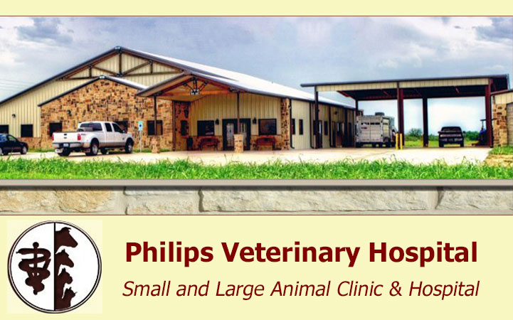 PHILIPS VETERINARY HOSPITAL