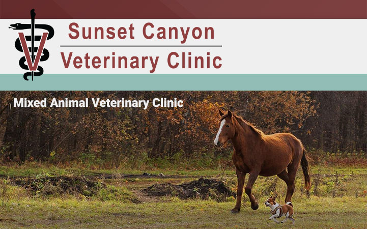 SUNSET CANYON VETERINARY CLINIC