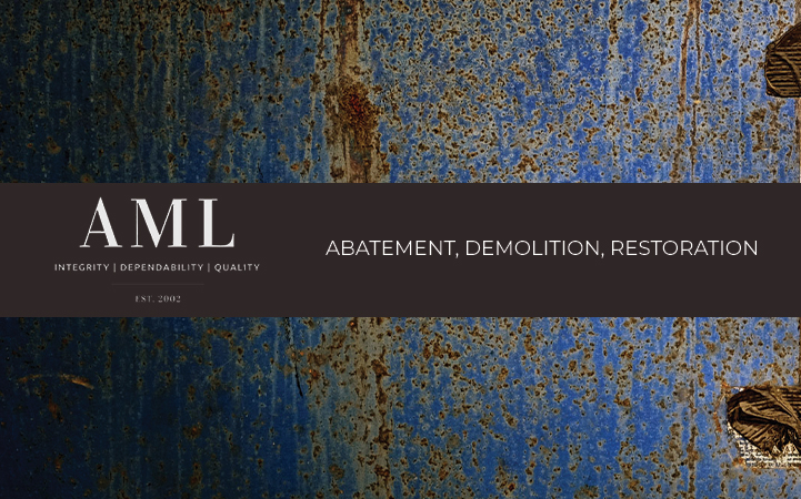 AML ENVIRONMENTAL