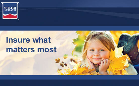 Learn more about SHELTER INSURANCE