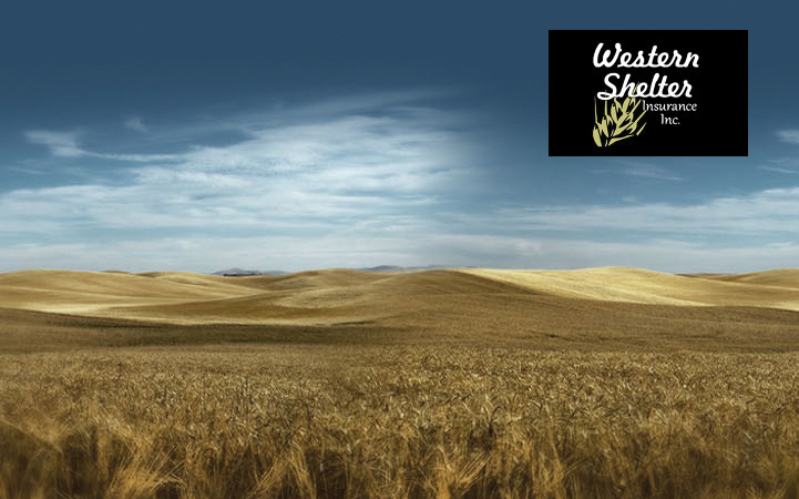 WESTERN SHELTER INSURANCE, INC.