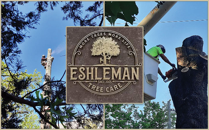 Learn more about ESHLEMAN TREE CARE, LLC