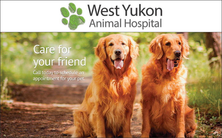 WEST YUKON ANIMAL HOSPITAL