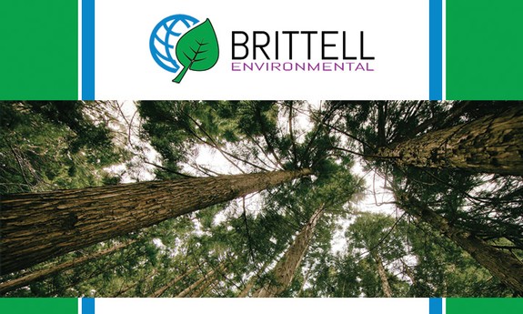 Learn more about BRITTELL ENVIRONMENTAL