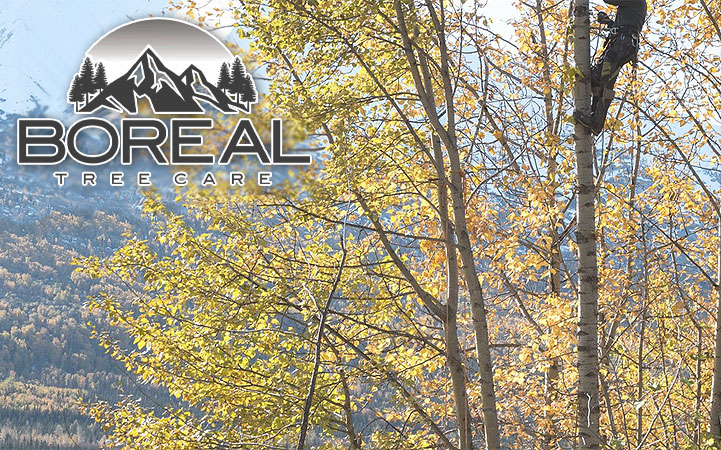 BOREAL TREE CARE in Anchorage, AK