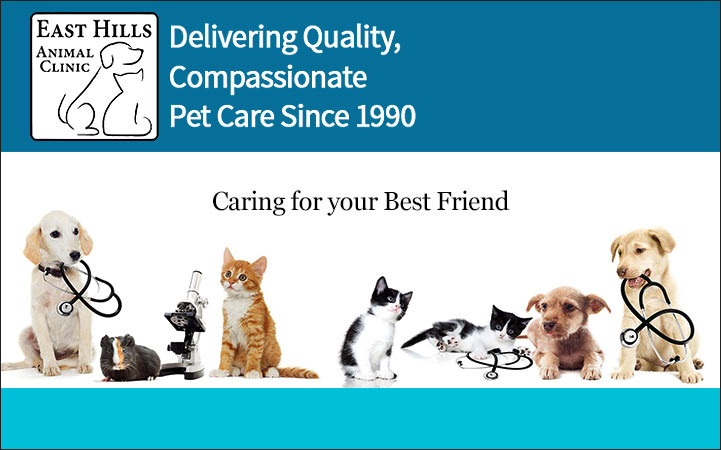EAST HILLS ANIMAL CLINIC