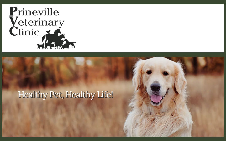 PRINEVILLE VETERINARY CLINIC