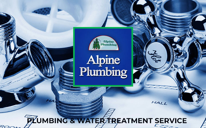 ALPINE PLUMBING SERVICES INC