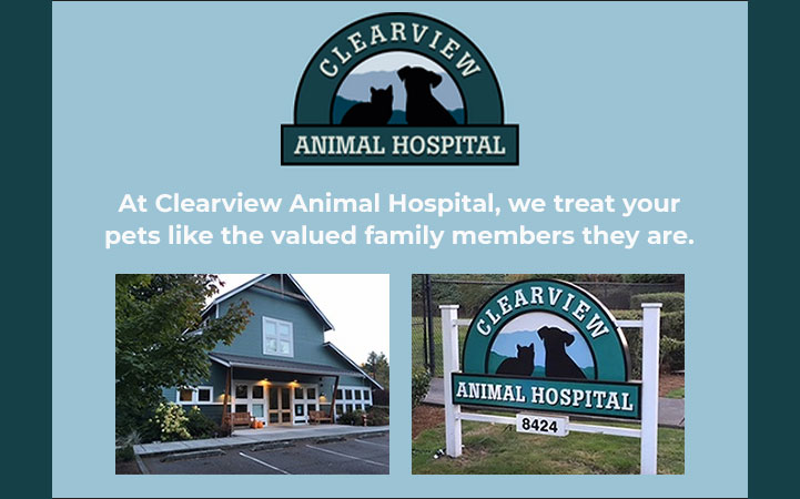 CLEARVIEW ANIMAL HOSPITAL