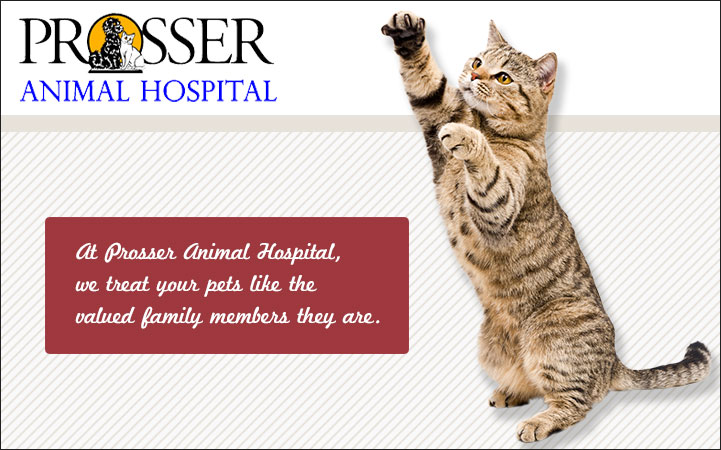 PROSSER ANIMAL HOSPITAL