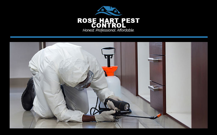 ROSE HART PEST CONTROL