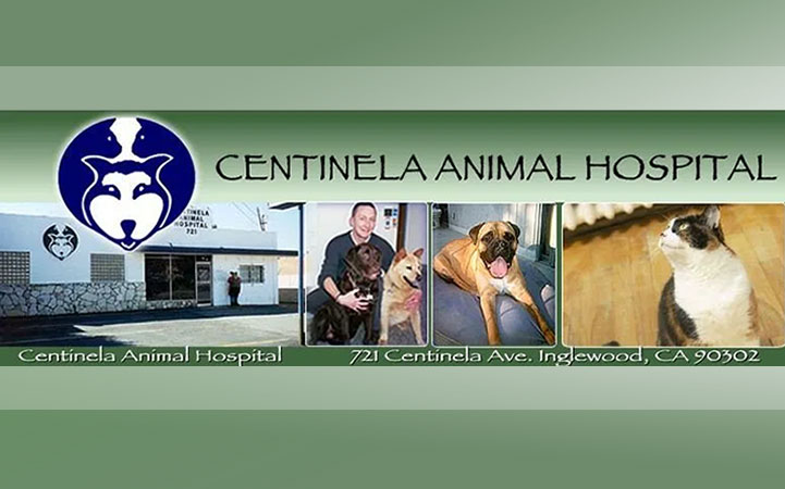 CENTINELA ANIMAL HOSPITAL
