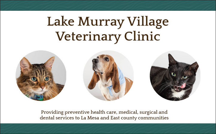LAKE MURRAY VILLAGE VETERINARY CLINIC