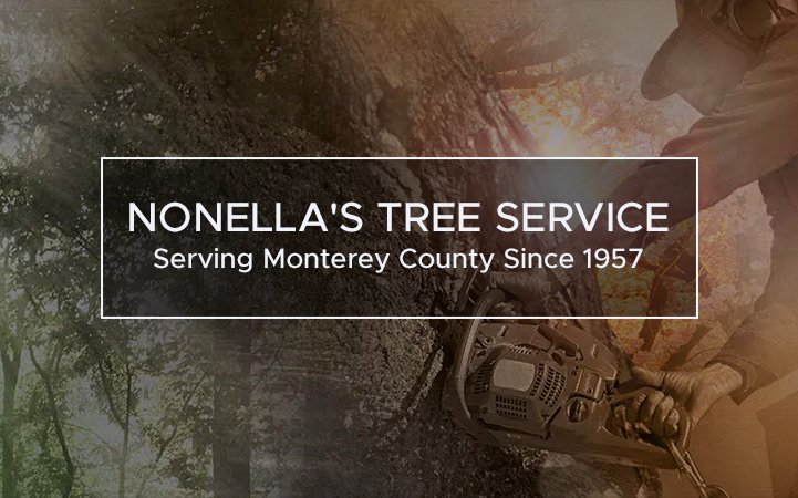 NONELLA'S TREE SERVICE