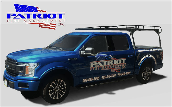 PATRIOT PEST MANAGEMENT - Local PEST CONTROL in Pleasanton, CA