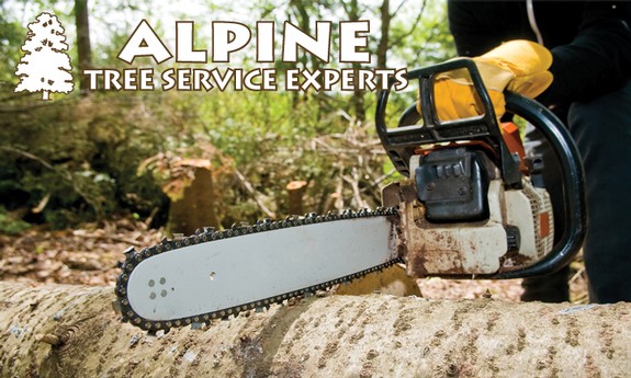 ALPINE TREE SERVICE EXPERTS, INC.