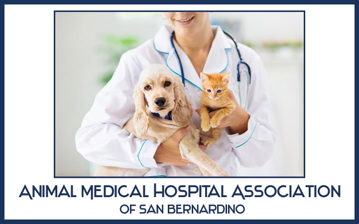 ANIMAL MEDICAL HOSPITAL ASSOCIATION