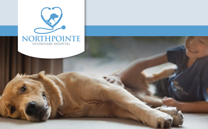 NORTHPOINTE VETERINARY HOSPITAL