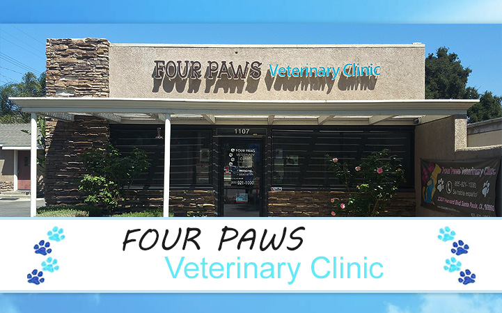 FOUR PAWS VETERINARY