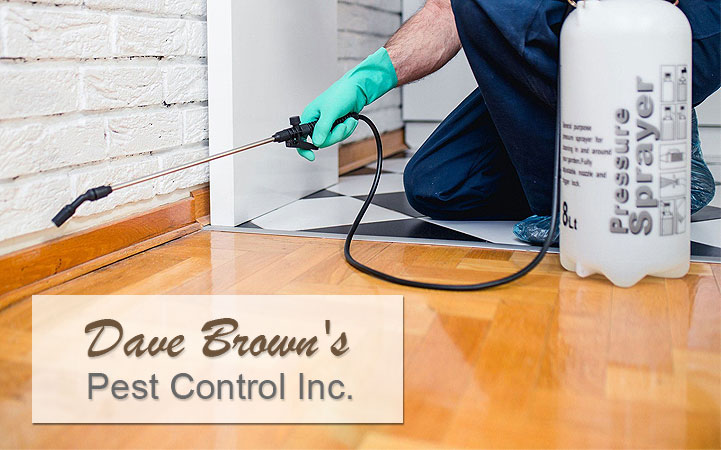 DAVE BROWN'S PEST CONTROL