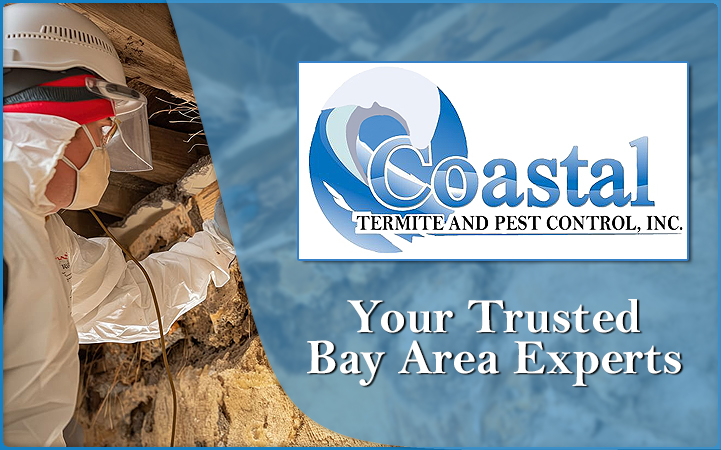 COASTAL TERMITE & PEST CONTROL INC - Local PEST CONTROL in Santa Clara, CA