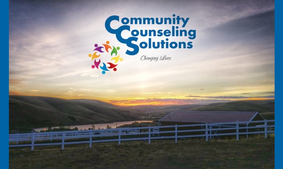 COMMUNITY COUNSELING SOLUTIONS
