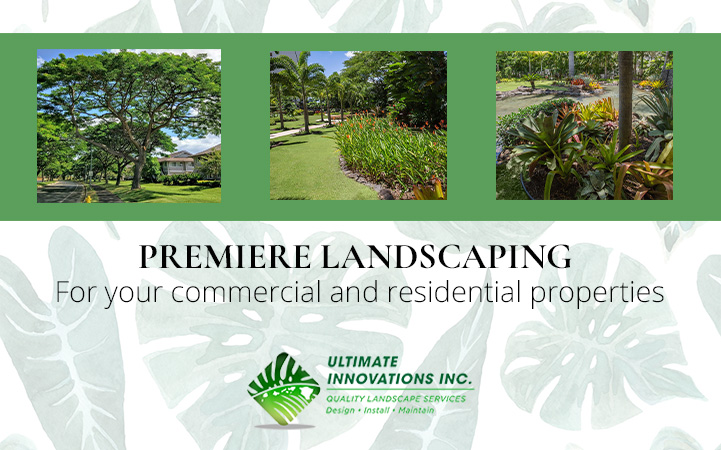 ULTIMATE INNOVATIONS INC in Honolulu, HI