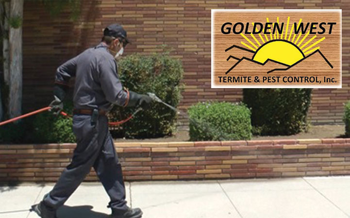 GOLDEN WEST TERMITE AND PEST CONTROL