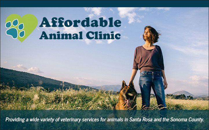 AFFORDABLE PET CLINIC