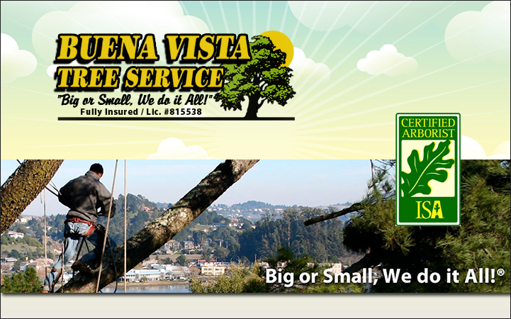 BUENA VISTA TREE SERVICE