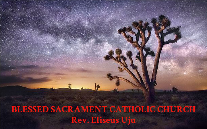 BLESSED SACRAMENT CHURCH - Local CHURCHES in Twentynine Palms, CA