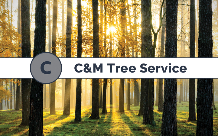 C & M TREE SERVICE - Local LANDSCAPE: TREE SERVICES in Yucca Valley, CA
