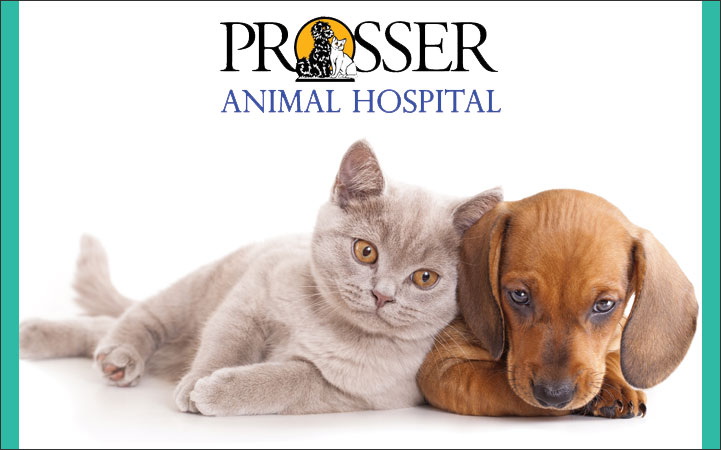 PROSSER ANIMAL HOSPITAL