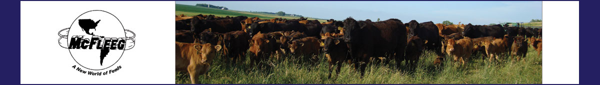 View MCFLEEG FEEDS, INC. details
