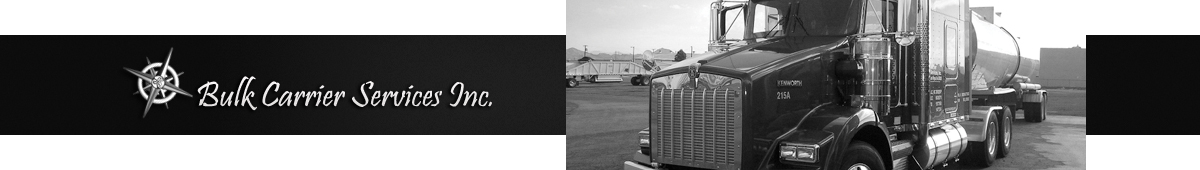 View BULK CARRIER SERVICES, INC. details