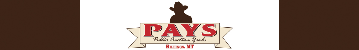 View PUBLIC AUCTION YARDS details