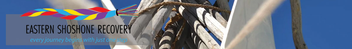 View EASTERN SHOSHONE RECOVERY details