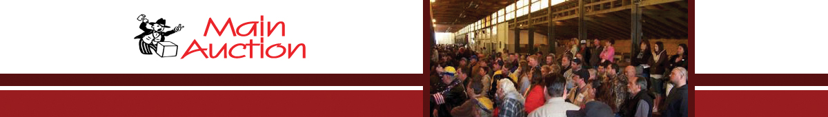 View MAIN AUCTION details