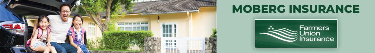 View MOBERG INSURANCE details