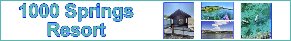 View 1000 SPRINGS RESORT details