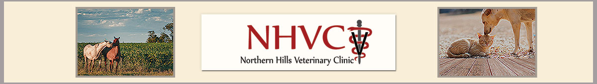 View NORTHERN HILLS VETERINARY CLINIC details