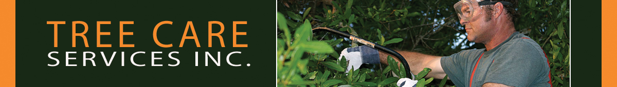 View TREE CARE SERVICE, INC. details