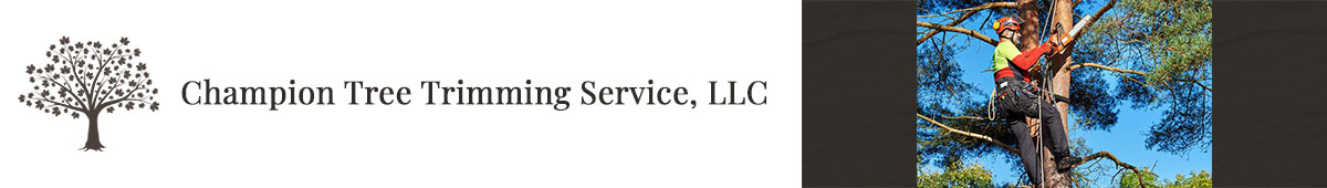 View CHAMPION TREE TRIMMING SERVICE LLC details
