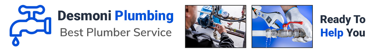 View DESMONI PLUMBING INC details