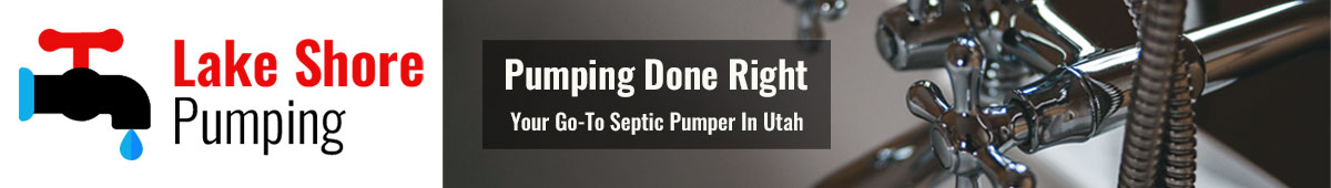 View LAKESHORE PUMPING SERVICE details