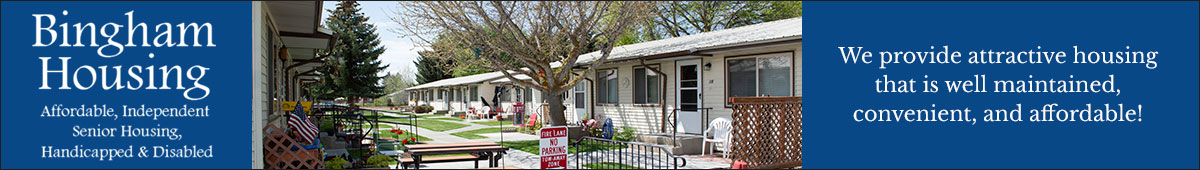 View BINGHAM HOUSING INC. details