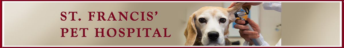 View ST FRANCES PET HOSPITAL - DARBY details